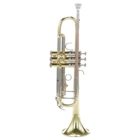 Tromba in Sib Bach tr501 paradisesound strumenti musicali on line