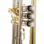 Tromba in Sib Bach tr501 paradisesound strumenti musicali on line