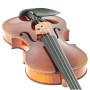 Violino 4/4 Luthier Solista - Liuteria paradisesound strumenti musicali on line