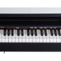 Pianoforte Digitale ORLA Stage Starter DLS paradisesound strumenti musicali on line