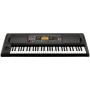 KORG EK-50L - TASTIERA 61 TASTI ARRANGER paradisesound strumenti musicali on line