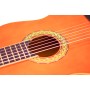 Chitarra Classica ffalstaff C441 4/4 paradisesound strumenti musicali on line