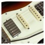 Chitarra Elettrica Schecter R66 Williams H/s/s 3tsb paradisesound strumenti musicali on line