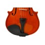 Violino 1/2 Laminato Finitura Lucida ffalstaff V01-1/2-LC paradisesound strumenti musicali on line