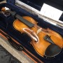 VIOLINO DOMUS ALLIEVO 2 paradisesound strumenti musicali on line