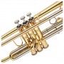 TROMBA BACH IN SIB TR-650 LACCATO ASTUCCIO LEGGERO paradisesound strumenti musicali on line