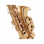 SAX CONTRALTO GRASSI SAL700 paradisesound strumenti musicali on line