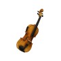 Violino Elettrico Stagg con accessori paradisesound strumenti musicali on line