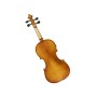 Violino Elettrico Stagg con accessori paradisesound strumenti musicali on line