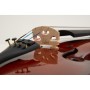 LUTHIER STUDIO 1 3/4 VIOLINO COMPLETO paradisesound strumenti musicali on line