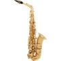 SAX CONTRALTO SML VSM A300