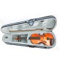 Violino 4/4 Domus Rialto con custodia e arco paradisesound strumenti musicali on line