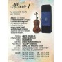 Violino Domus Allievo 1 4/4 - Set pronto con corde Dogal paradisesound strumenti musicali on line