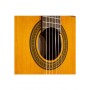 Chitarra Classica Cuteway Elettrificata Takamine TAK-GSC3CE-NG paradisesound strumenti musicali on line