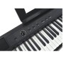 PIANOFORTE DIGITALE 88 TASTI ECHORD DP-1 paradisesound strumenti musicali on line