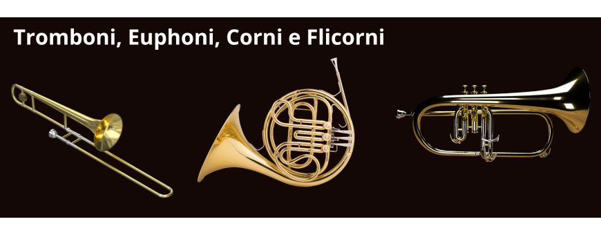 Tromboni, Corni e Flicorni | Paradisesound.it