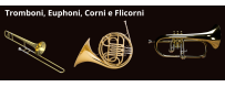 Tromboni, Corni e Flicorni | Paradisesound.it